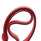 Grained Calfskin Milky Way Shoulder Bag Red