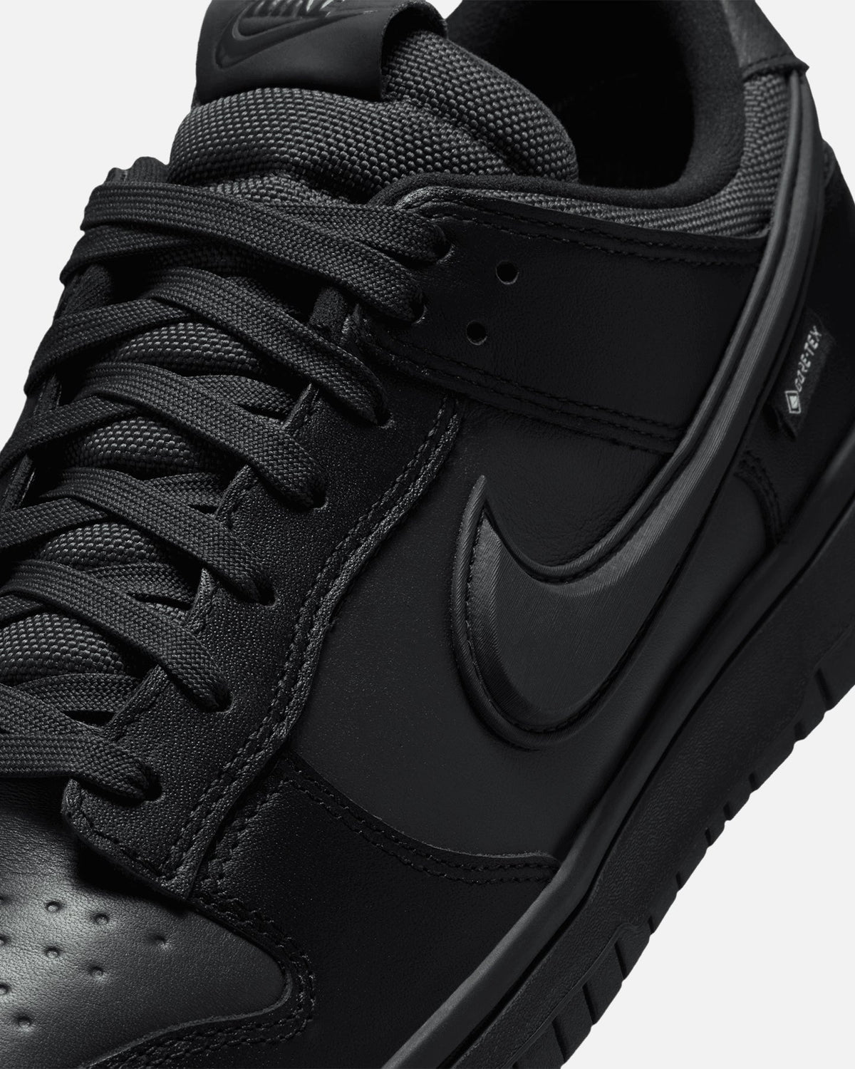 Nike Dunk Low GORE-TEX Black/White