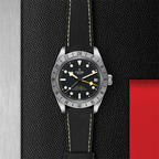 Black Bay Pro 39mm - Black on Hybrid Rubber/Leather Strap