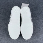 Dior B23 High Oblique - Shawn Bee Embroidery Patch'