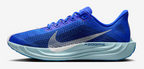 Men's Nike Pegasus Plus