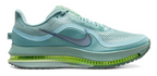 Men's Nike Pegasus Premium